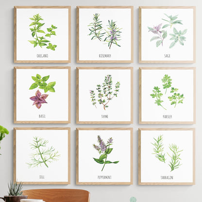 Kitchen Watercolor Art - 150 Prints