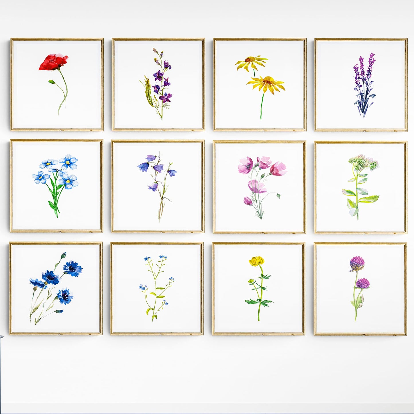Plants Wall Art - 100 Prints